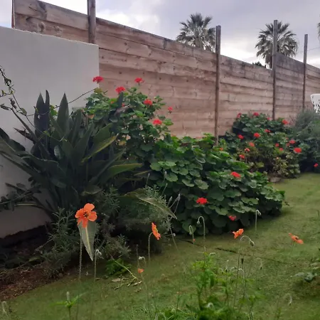 Moon In The Garden * Los Realejos