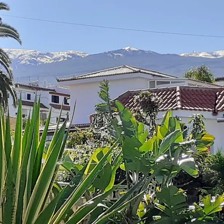 Moon In The Garden Apartment Los Realejos